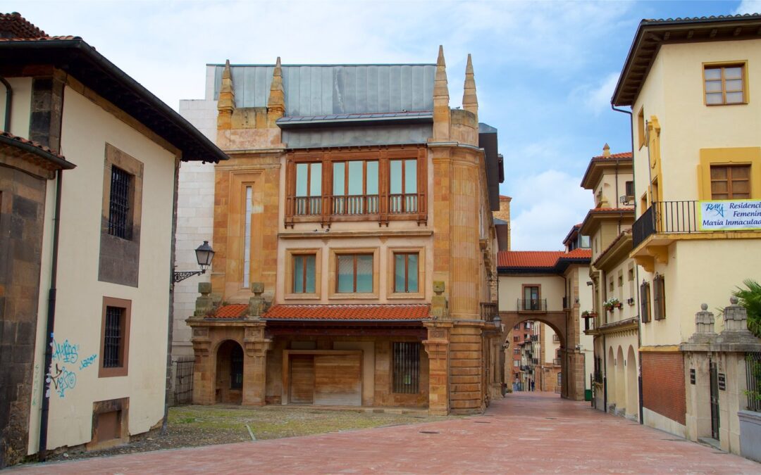 Visita guiada al Museo Arqueológico de Asturias