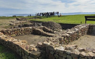 Visitas guiadas: Parque Arqueológico Campa Torres Y Termas Romanas
