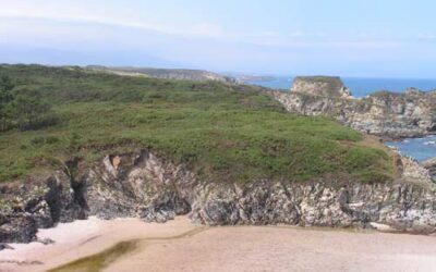 VISITA GUIADA A LA EXCAVACIÓN DEL CASTRO DEL ESTEIRO Y A LA MINA DE ORO DE SALAVE EN TAPIA DE CASARIEGO
