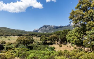 VIAJE ARQUEOLÓGICO SIERRA DE GRAZALEMA, RONDA, ANTEQUERA, ITÁLICA Y CARMONA