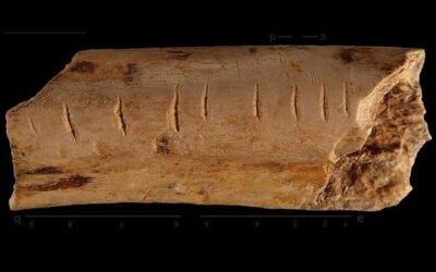 TERTULIA 10 ARQUEOLOGÍA DE LOS NÚMEROS. María Luisa Garzón. Profesora de Matemáticas de la Universidad de Oviedo
