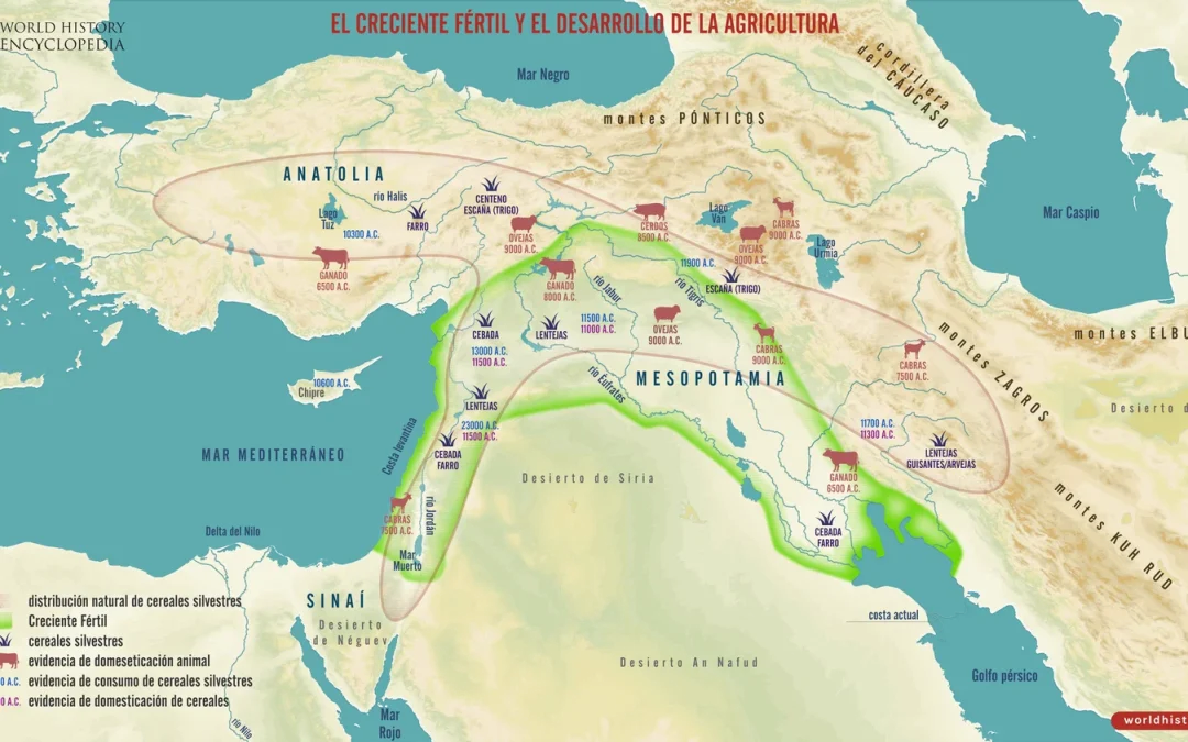 TERTULIA 14. ARQUEOLOGÍA DE LAS PLANTAS. EL ORIGEN DE LA AGRICULTURA