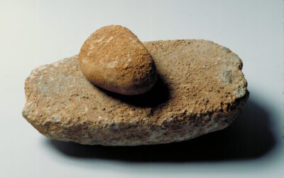 TERTULIA 09. LOS CERELES MÁS ANTIGUOS.  Carmen Álvarez Cifuentes