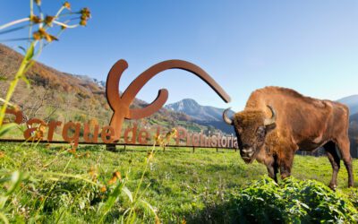 VISITA GUIADA AL PARQUE ARQUEOLÓGICO DE LA PREHISTORIA DE TEVERGA