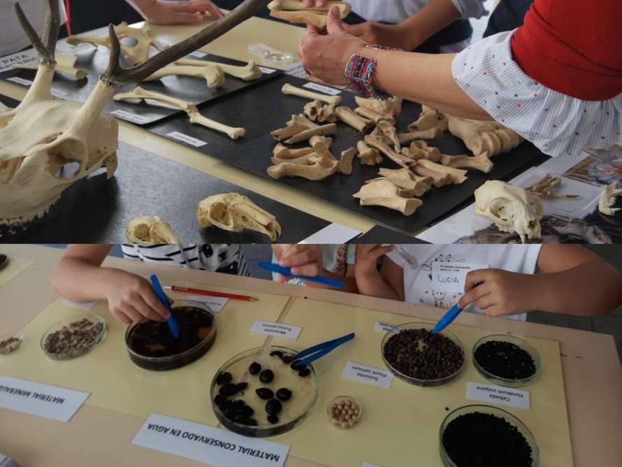 TALLER_semillas_y_huesos